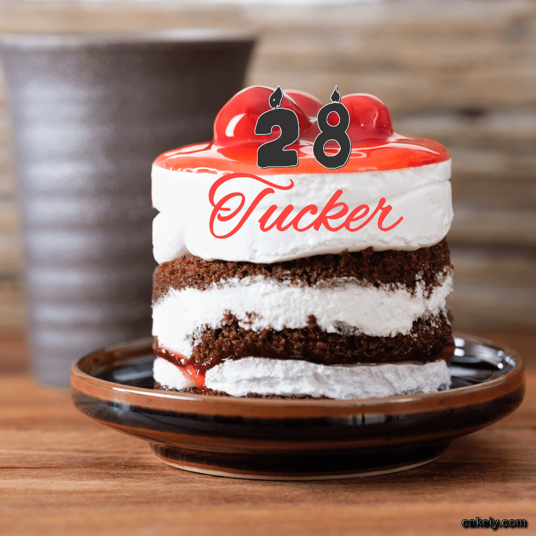 Choco Plum Layer Cake for Tucker