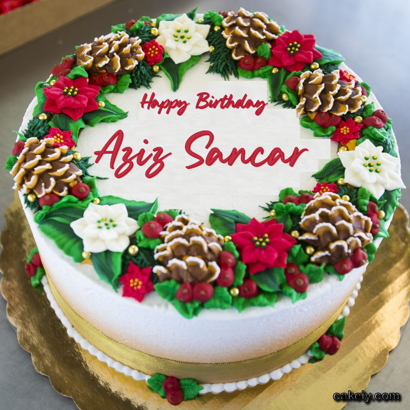 Christmas Wreath Cake for Aziz Sancar