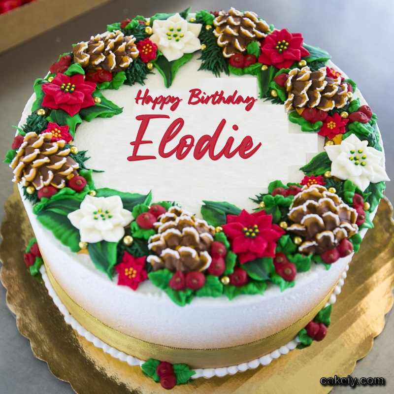 Christmas Wreath Cake for Elodie