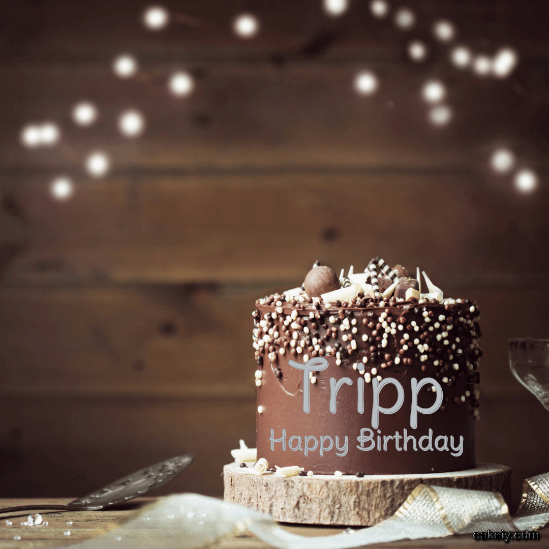 Dark Chocolate Tower Cake for Tripp